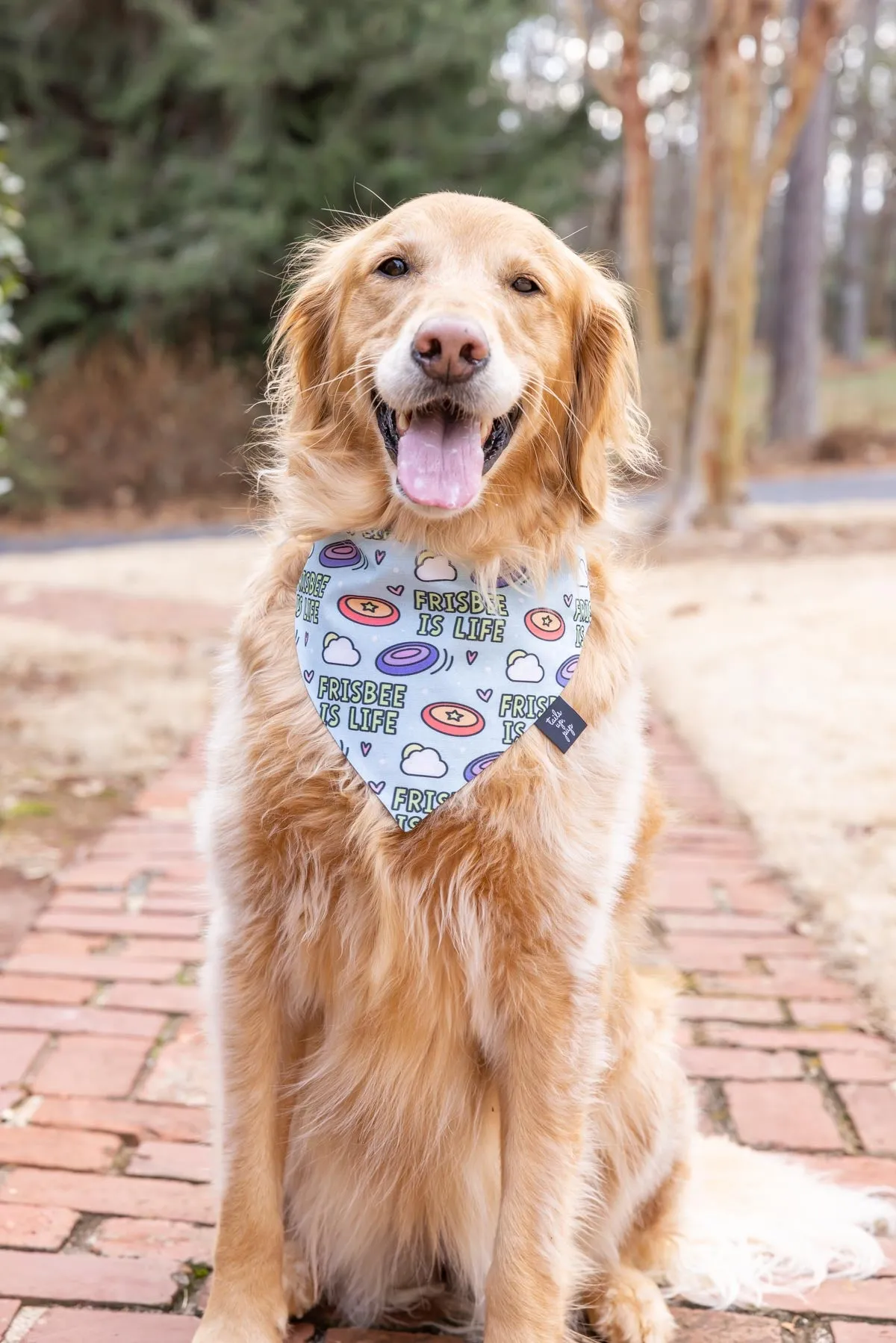 Frisbee Is Life Dog Bandana