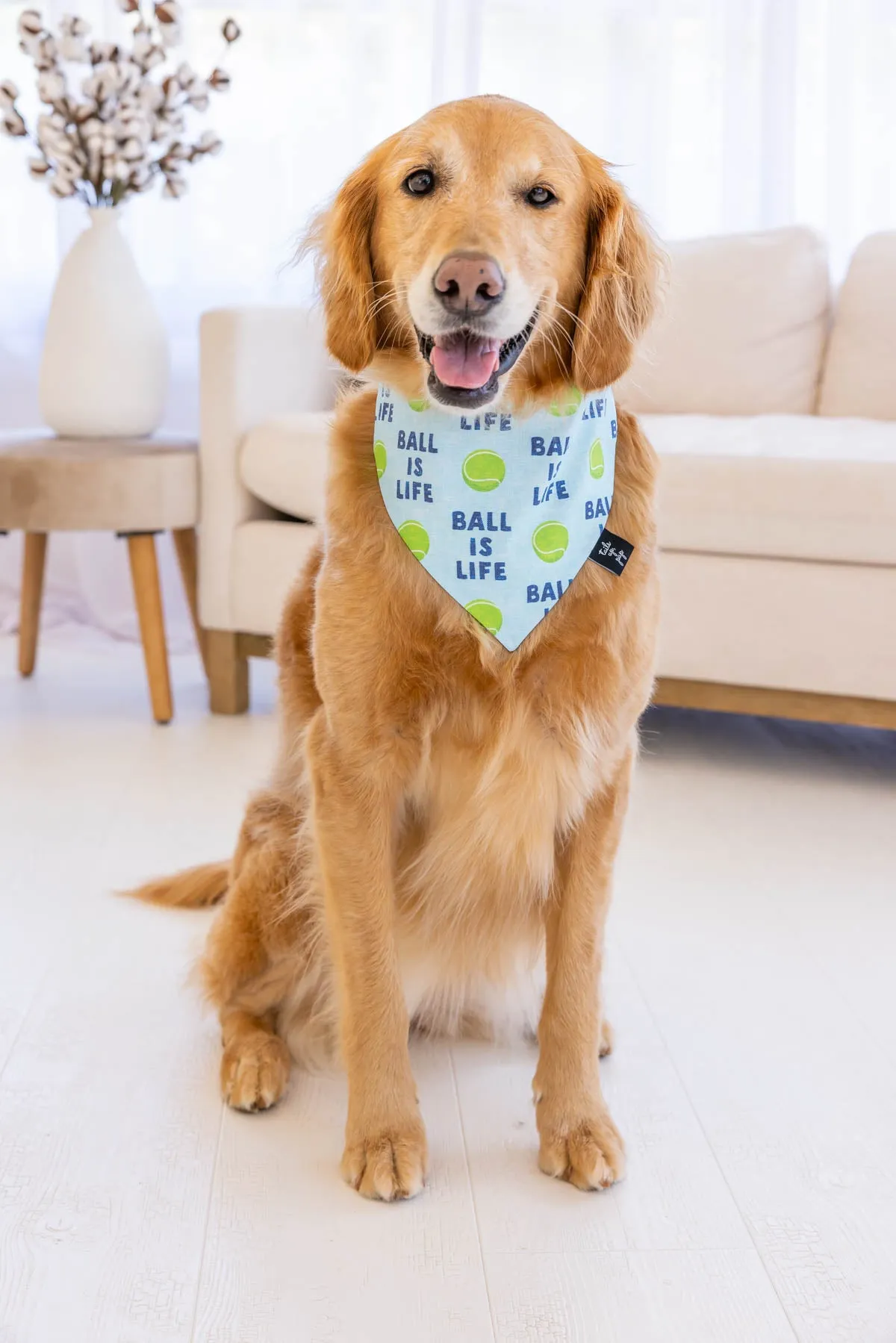 Light Blue Ball Is Life Dog Bandana