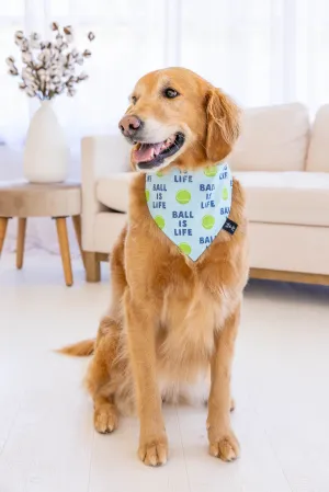 Light Blue Ball Is Life Dog Bandana